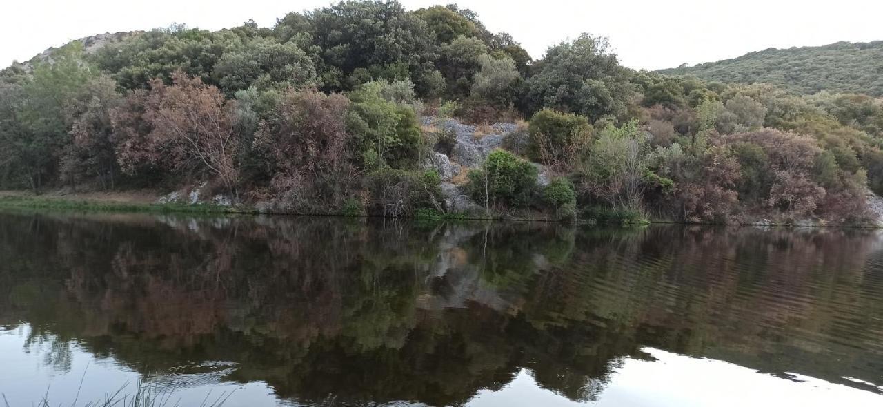 A L'Ombre Du Bananier Villa Neffies Dış mekan fotoğraf